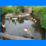 Vacation 046.jpg